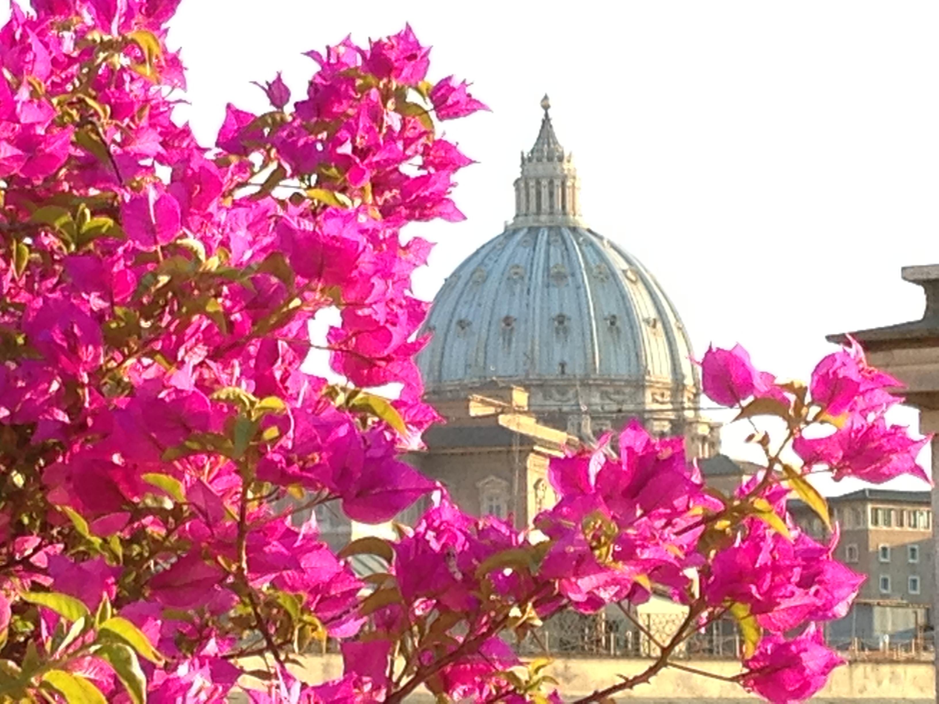 Hotel Dei Consoli Vaticano Rome Luaran gambar